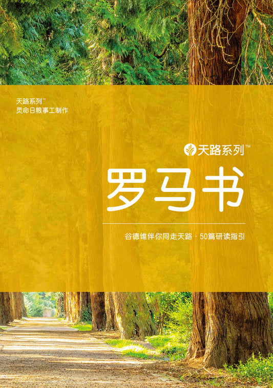 天路系列 - 罗马书 │Journey Through Romans (Simplified Chinese)
