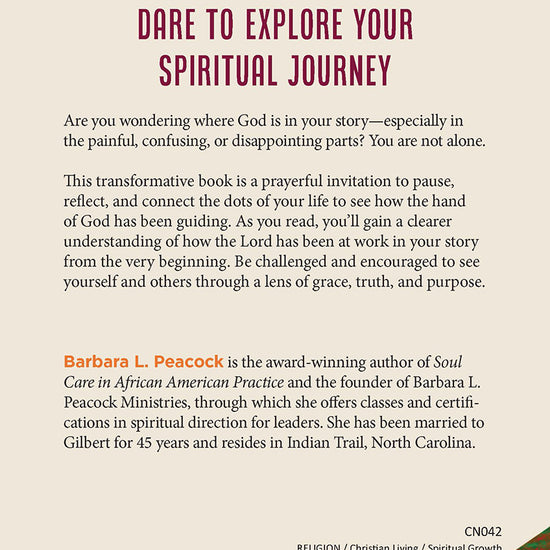 Book cover of Soul Journey book with text about challenging you to explore your spiritual journey plus author information on Barbara L. Peacock, featuring the colourful mountain background