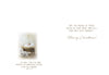 Prince of Peace | Christmas Boxed Cards