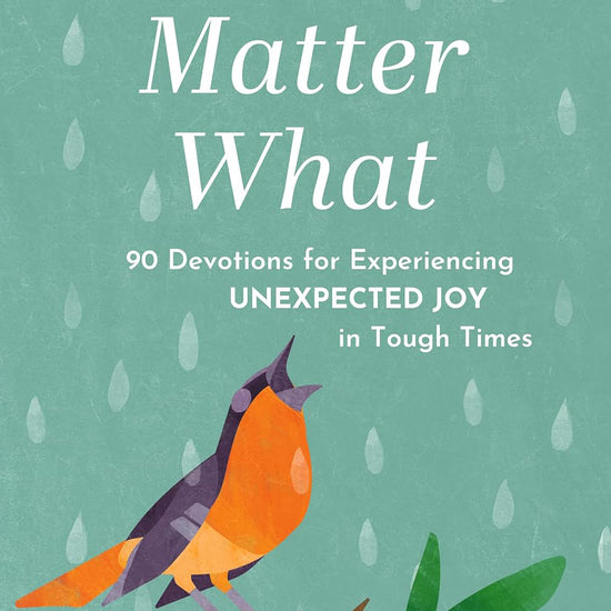 Book cover for 'No Matter What: 90 Devotions for Experiencing Unexpected Joy in Tough Times' by Jill Baughan, featuring an illustration of a bird perched on a branch with leaves against a blue background with rain droplets.