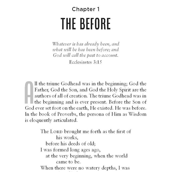 Text page from chapter entitled 'The Before' and biblical reference from Ecclesiastes in Soul Journey by Barbara L. Peacock