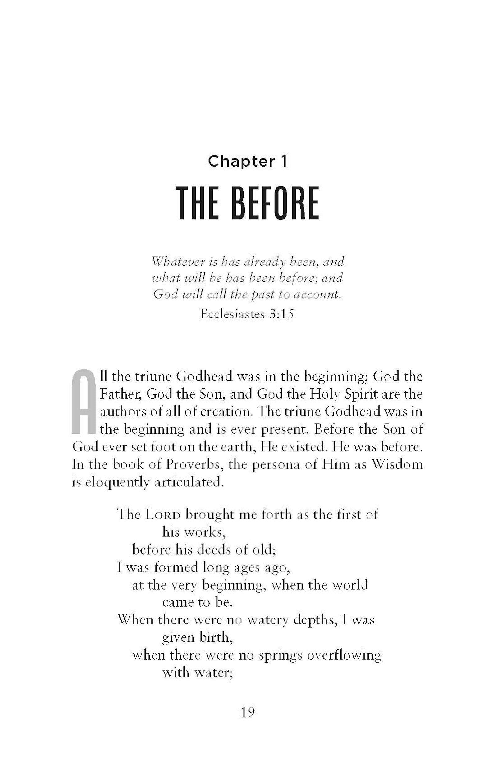 Text page from chapter entitled 'The Before' and biblical reference from Ecclesiastes in Soul Journey by Barbara L. Peacock