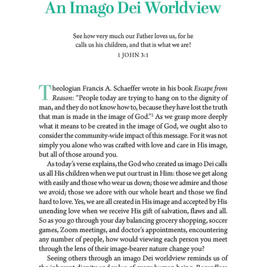 Book page with text reading "An Imago Dei Worldview," featuring a green color scheme in Already Whole by Ellen Wildman