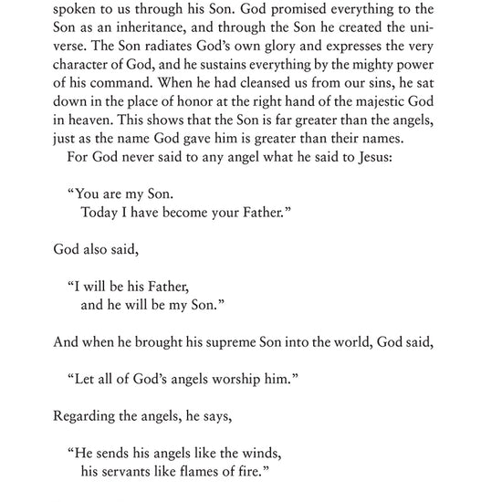 Text from the book of Hebrews in 'Hebrews & James' from 'Immerse: The Reading Bible Journals' on a white background