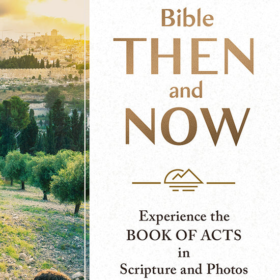 Book cover of 'Lands of the Bible Then and Now' by Dave Branon with a scenic view of Jerusalem sheep with text