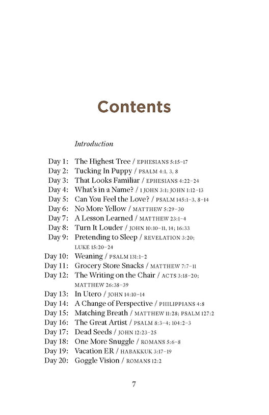 Table of contents for Sunday God Meets Monday Mom book by Erin Greneaux with corresponding verses.