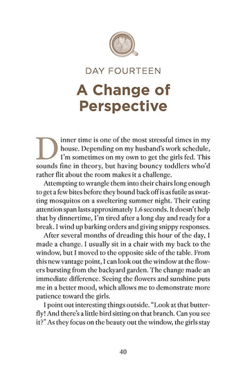 Text page from Sunday God Meets Monday Mom book by Erin Greneaux with chapter title 'A Change of Perspective' on Day Fourteen.