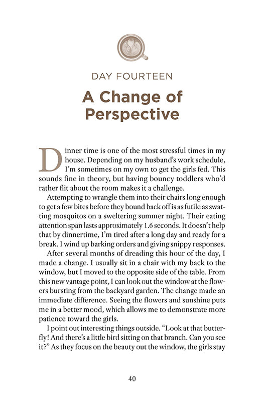 Text page from Sunday God Meets Monday Mom book by Erin Greneaux with chapter title 'A Change of Perspective' on Day Fourteen.
